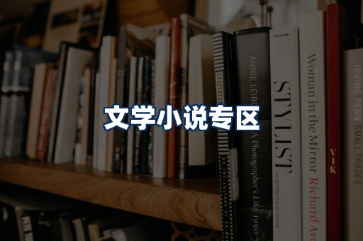 文学小说PDF展示